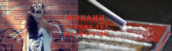 ГАЛЛЮЦИНОГЕННЫЕ ГРИБЫ Беломорск