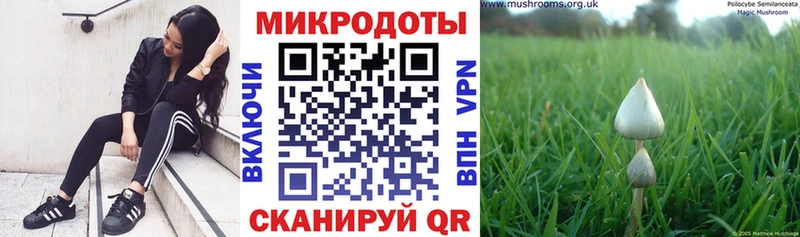 где купить   Ессентукская  блэк спрут зеркало  Галлюциногенные грибы мухоморы 